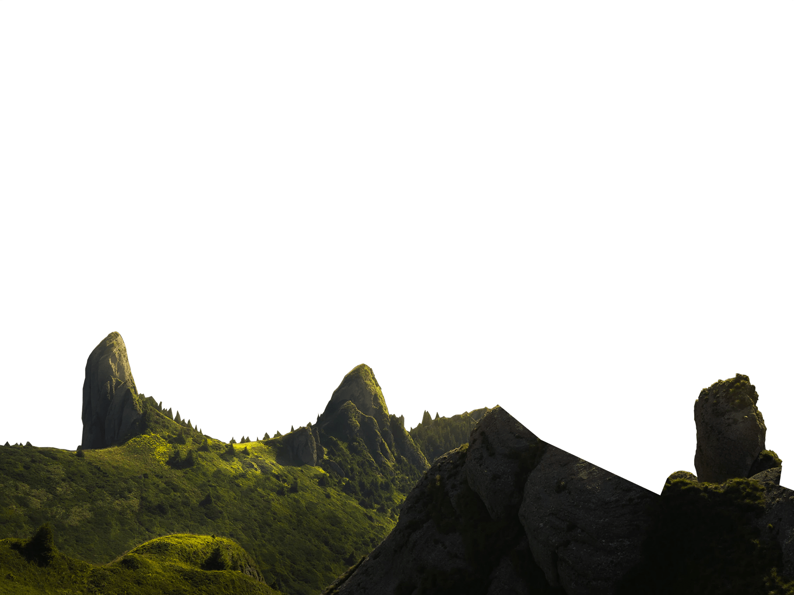 Parallax Layer