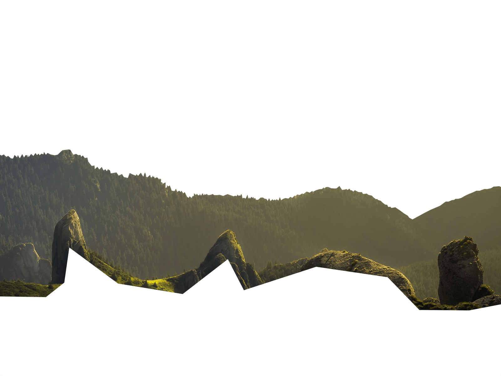 Parallax Layer