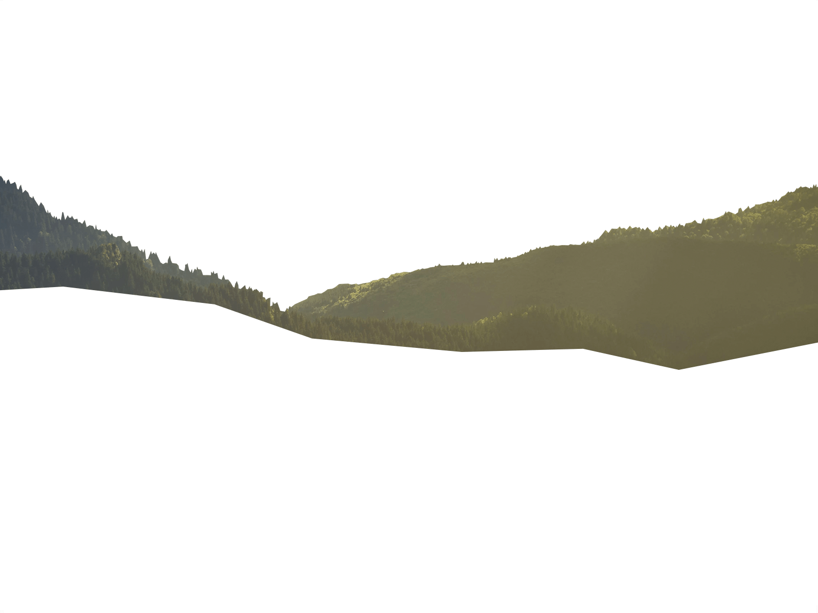 Parallax Layer