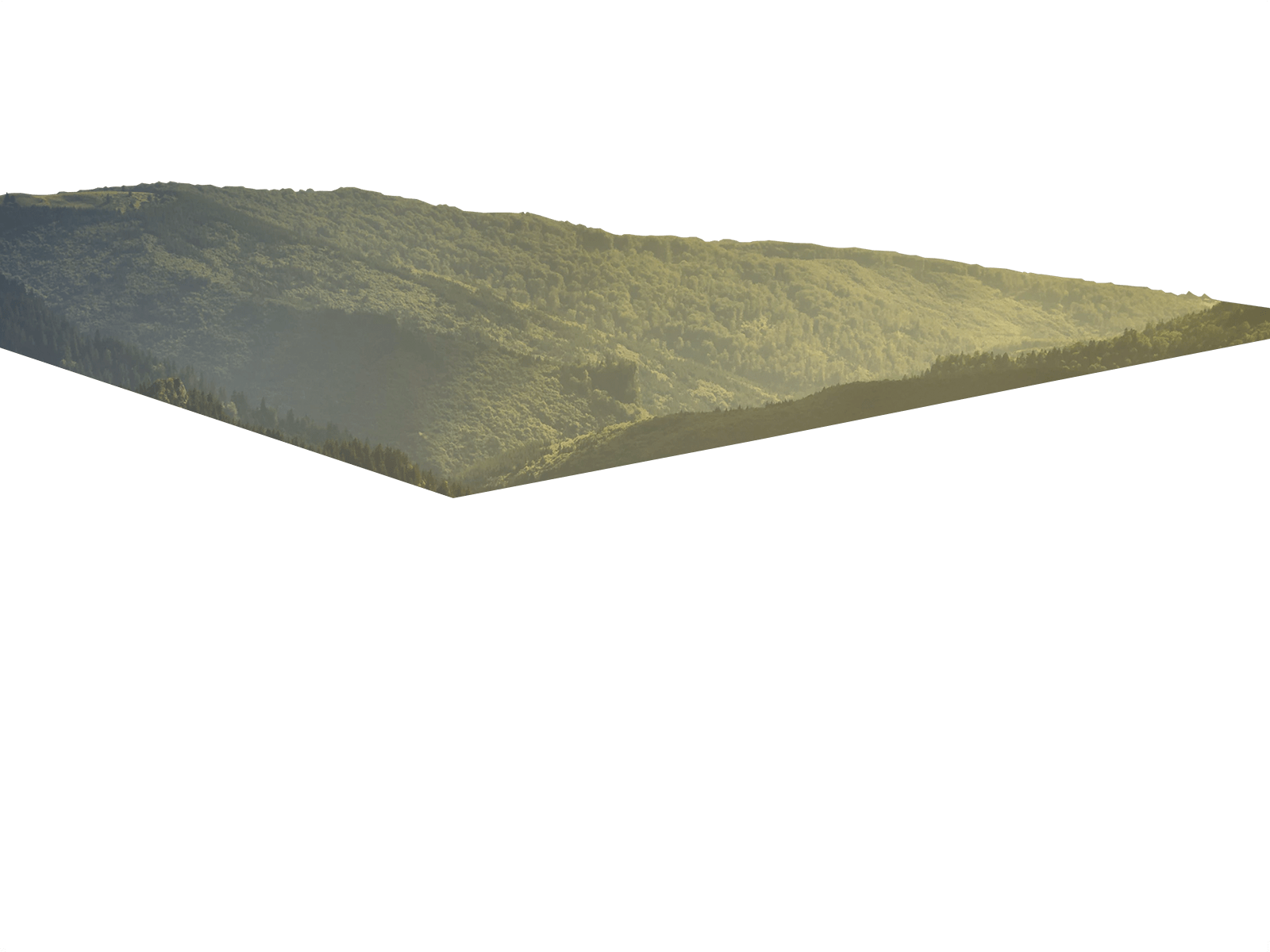 Parallax Layer