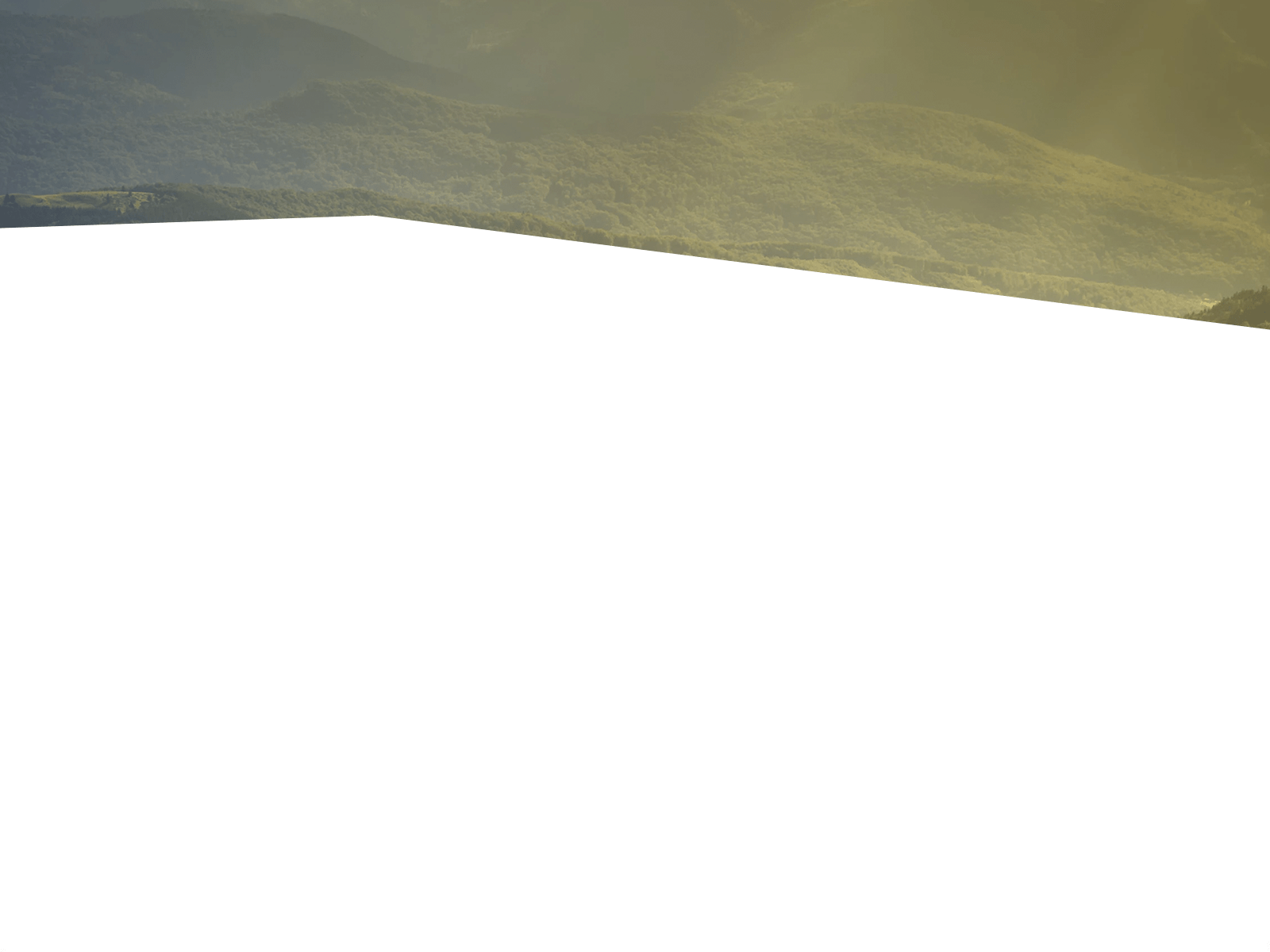 Parallax Layer