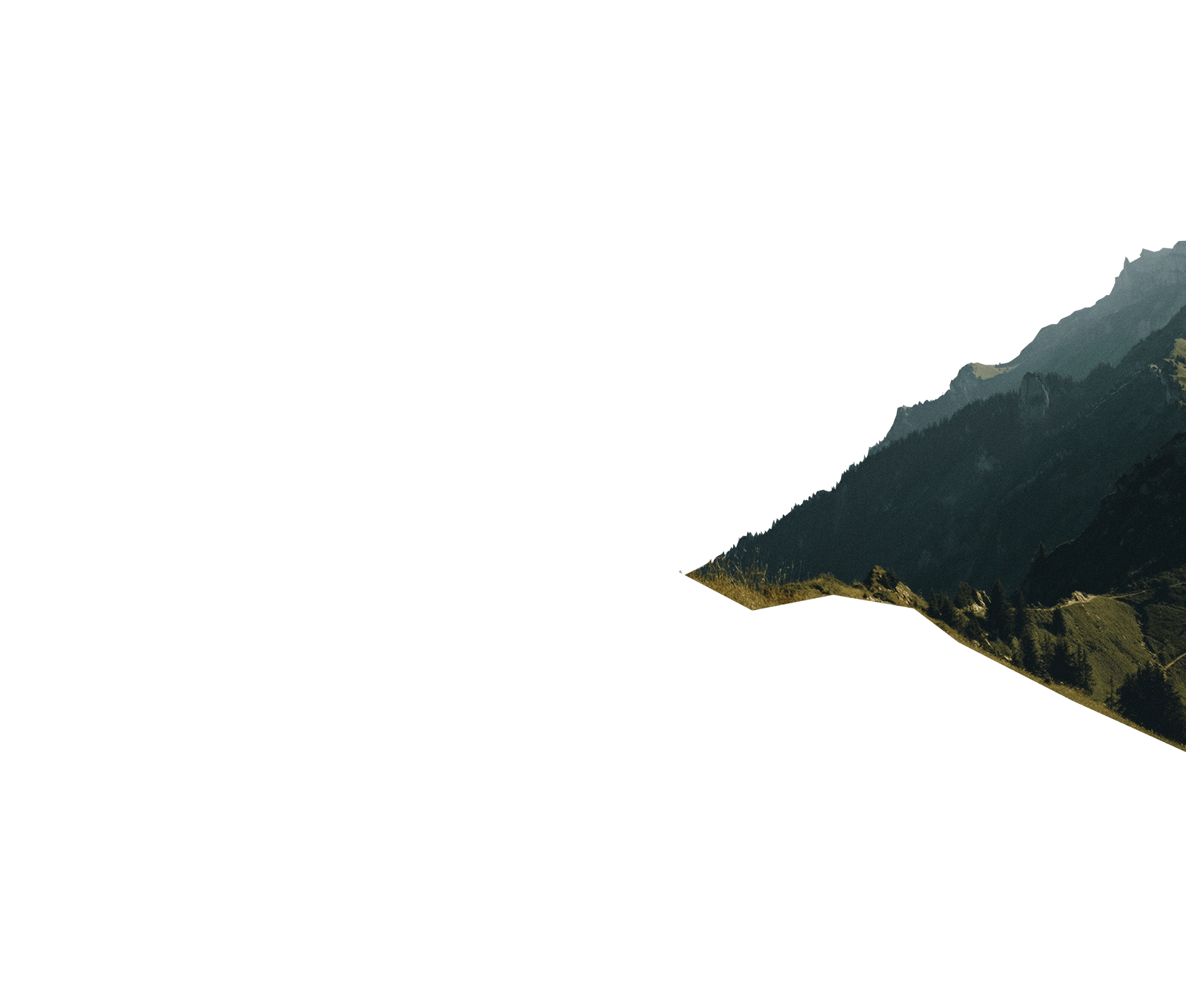 Parallax Layer